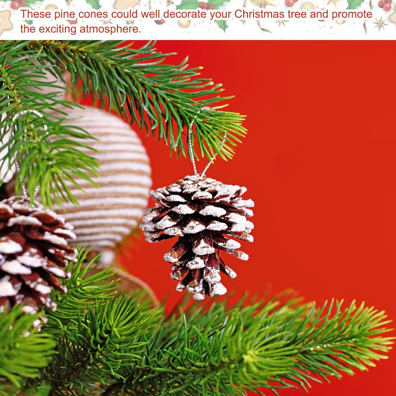 24er Set Tannenzapfen weiße Spitze 3-4cm für Weihnachtsbasteleien