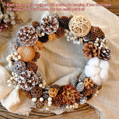 24er Set natürliche Tannenzapfen mit weißer Spitze 3-4cm - Weihnachtsdeko für DIY Projekte, Vasenfüller & Herbstdeko