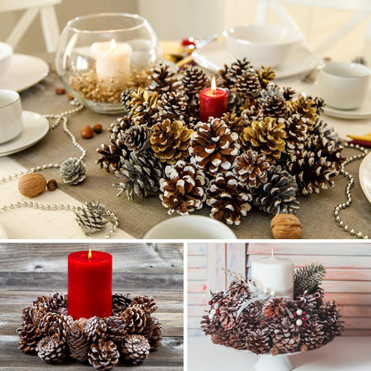 24er Pack Weiße Spitze Tannenzapfen 3-4cm Weihnachtsdeko Festlich Rustikal