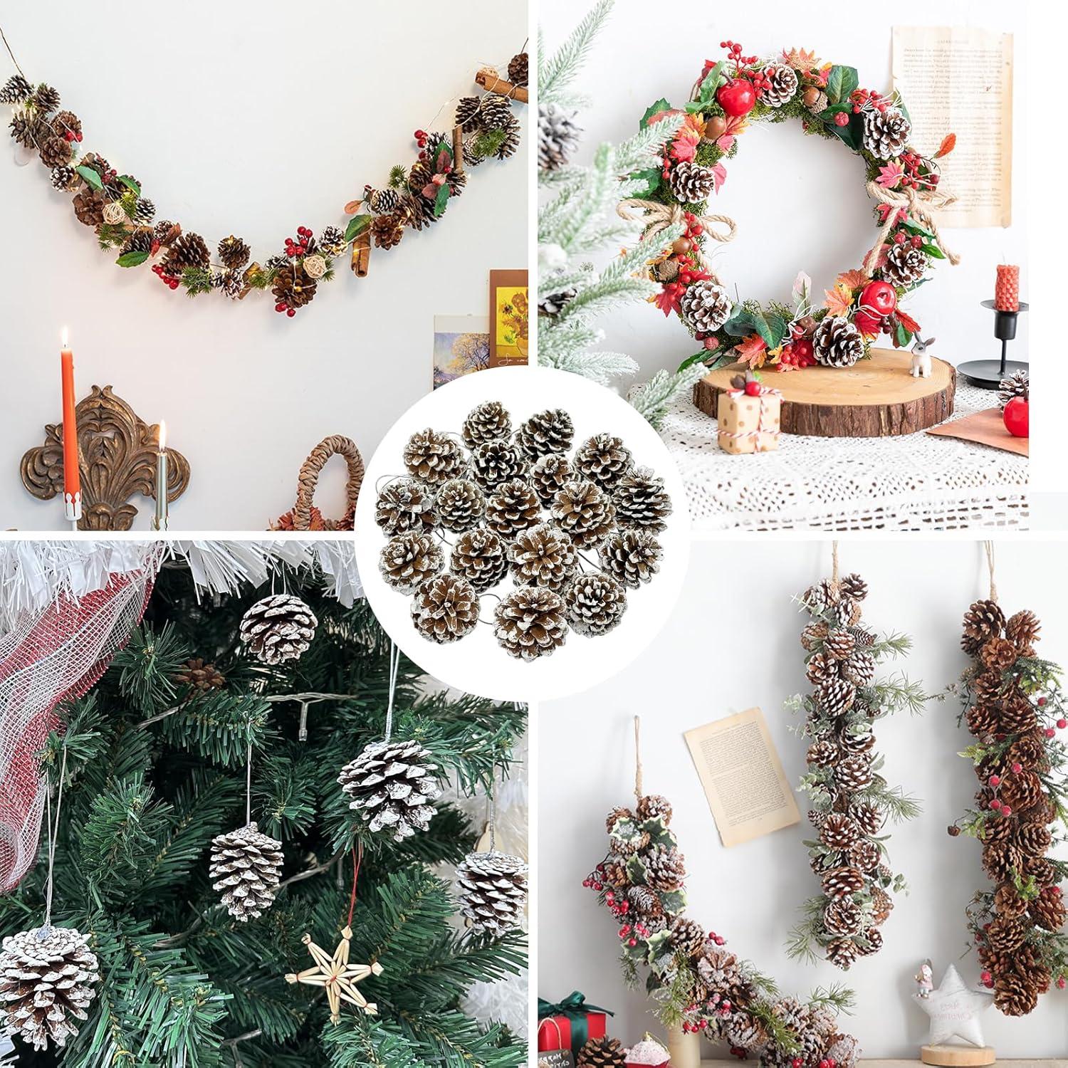 24 Stück Tannenzapfen weiß 3-4cm Deko Weihnachten Vasen Schüsselfüller