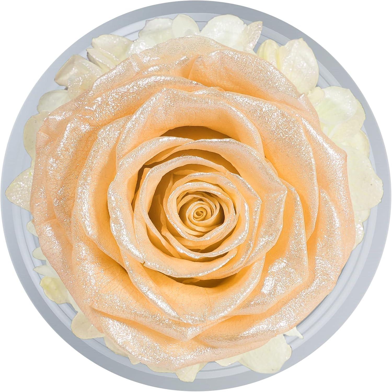 Ewige Rose Engel Geschenkbox Weihnachten Kristall Glas Dome