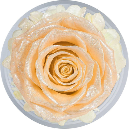 Ewige Rose Engel Geschenkbox Weihnachten Kristall Glas Dome