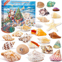 Adventskalender 2024: Muscheln für