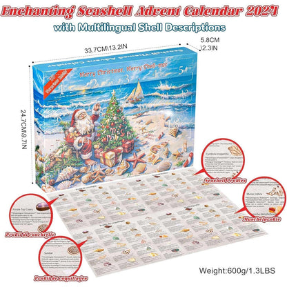 Adventskalender 2024: Muscheln für