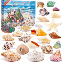 Adventskalender 2024 Muscheln 24 Tage