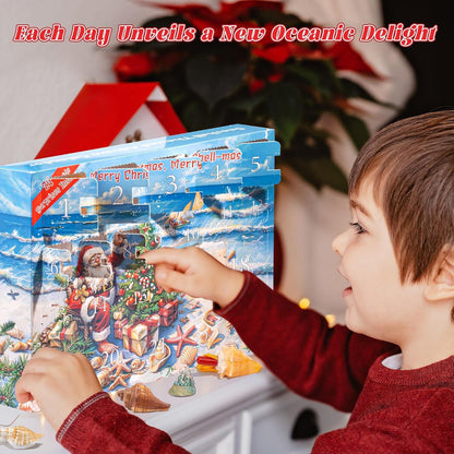 Adventskalender 2024: Muscheln für