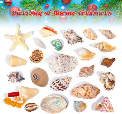 Adventskalender 2024 Muscheln 24 Tage