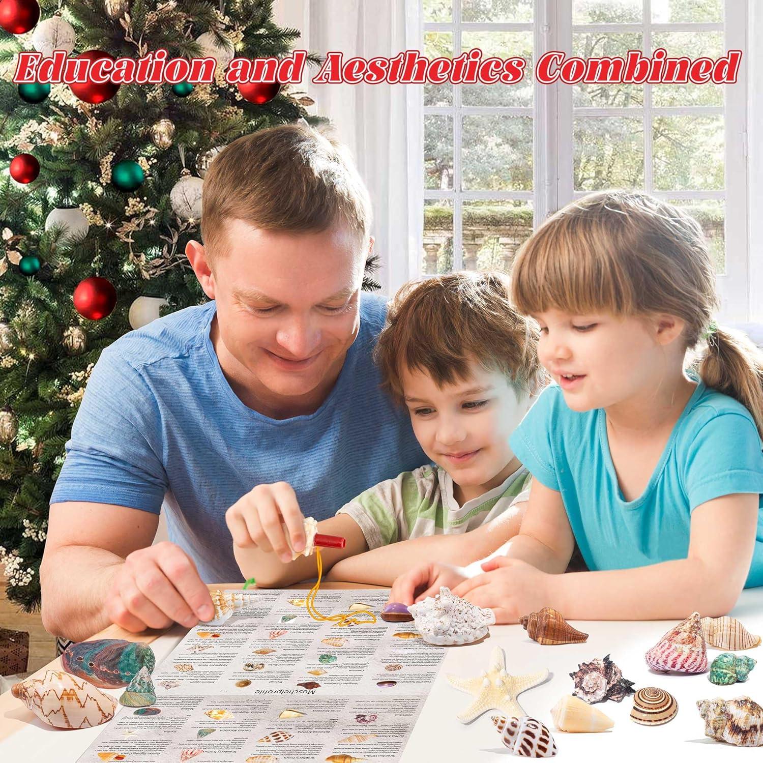 Adventskalender 2024 Muscheln für Kinder, Weihnachts-Countdown mit Meeresschalen und Seesternen