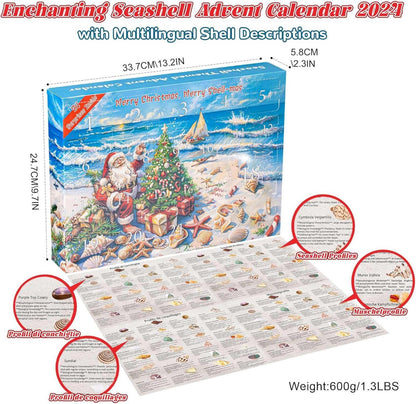 Adventskalender 2024 Muscheln für Kinder Meeresschalen Seesternen