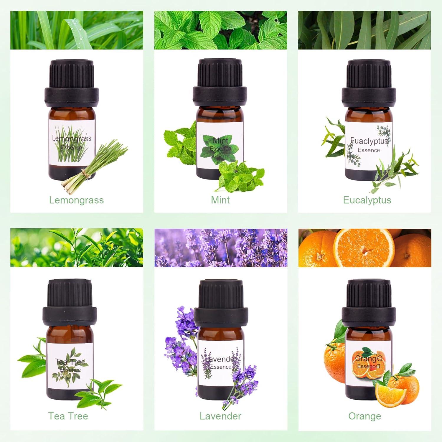 DIY Kerzen Set Kerzenherstellung Kit Sojawachs 480g 9 Dosen 6 Duftöl 8