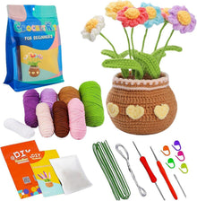 DIY Häkelset Blumen Topf Verzierung Anfänger Frauen Geschenk