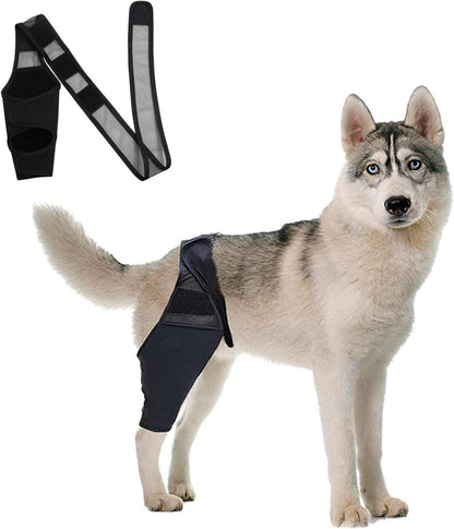 Kniebandage Hund Hinterbein - Unterstützung & Schutz