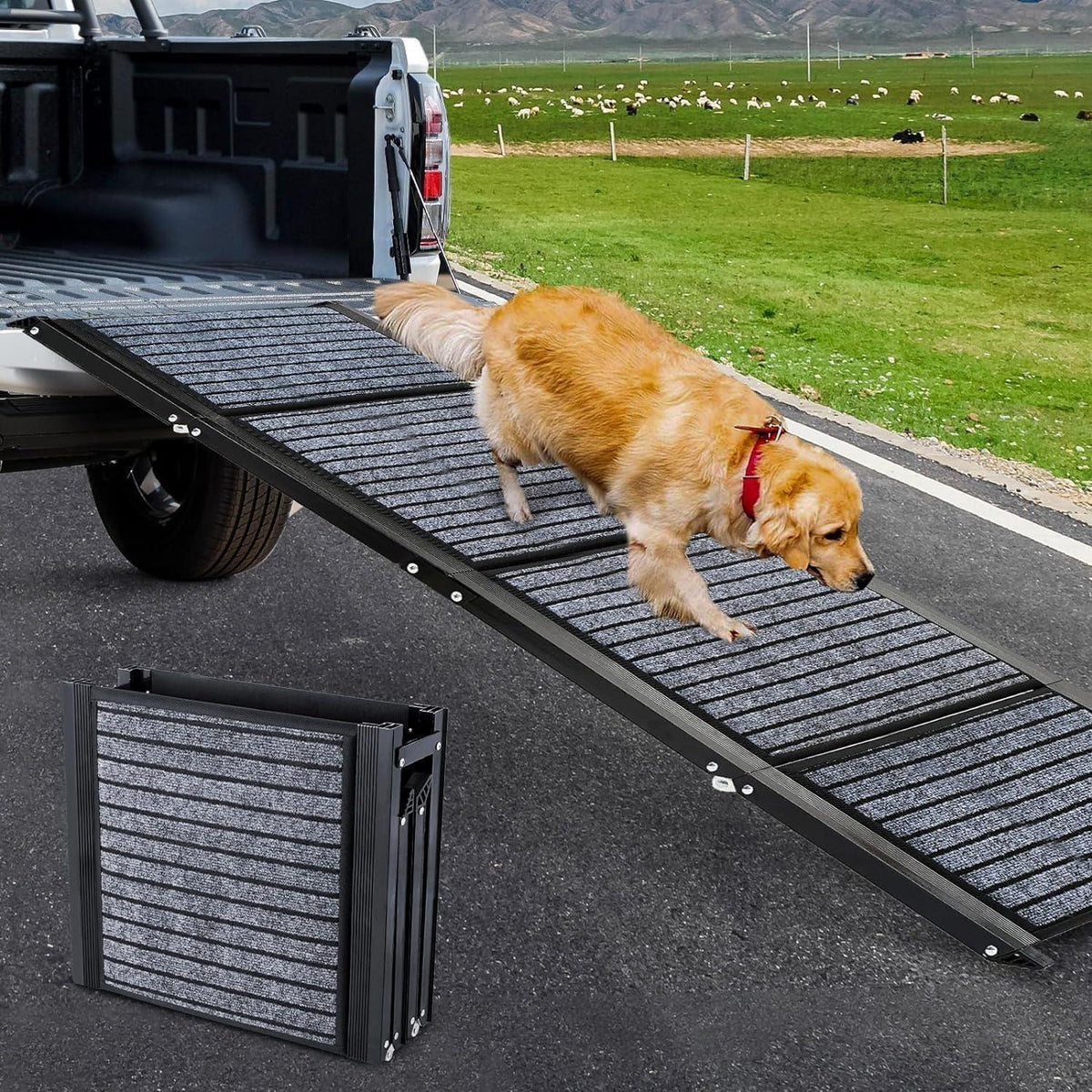 Faltbare Hunderampe 180cm – Auto, SUV, LKW & Treppe