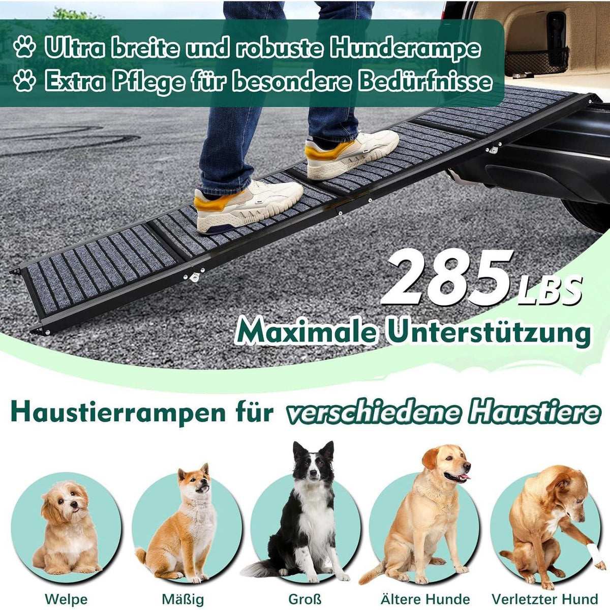 Faltbare Hunderampe 180cm – Auto, SUV, LKW & Treppe