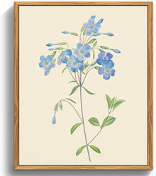 Vintage Botanische Leinwandbilder mit Holzrahmen 30x40 cm Blaue
