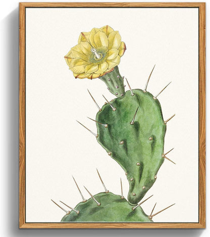 Vintage Botanisches Leinwandbild mit Holzrahmen 30x40cm Opuntia