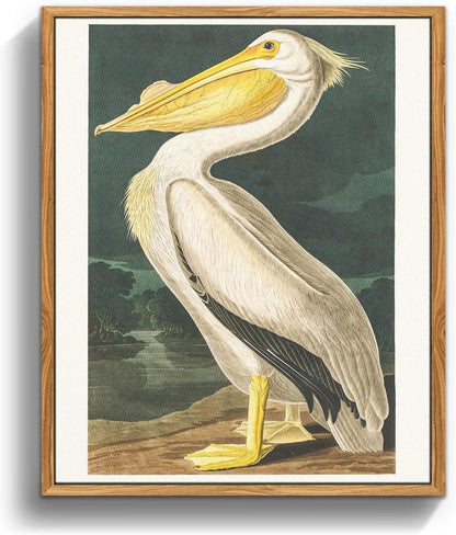 Vintage Vogel Leinwand Bild mit Holzrahmen 40x60 cm Pelikan Aesthetic