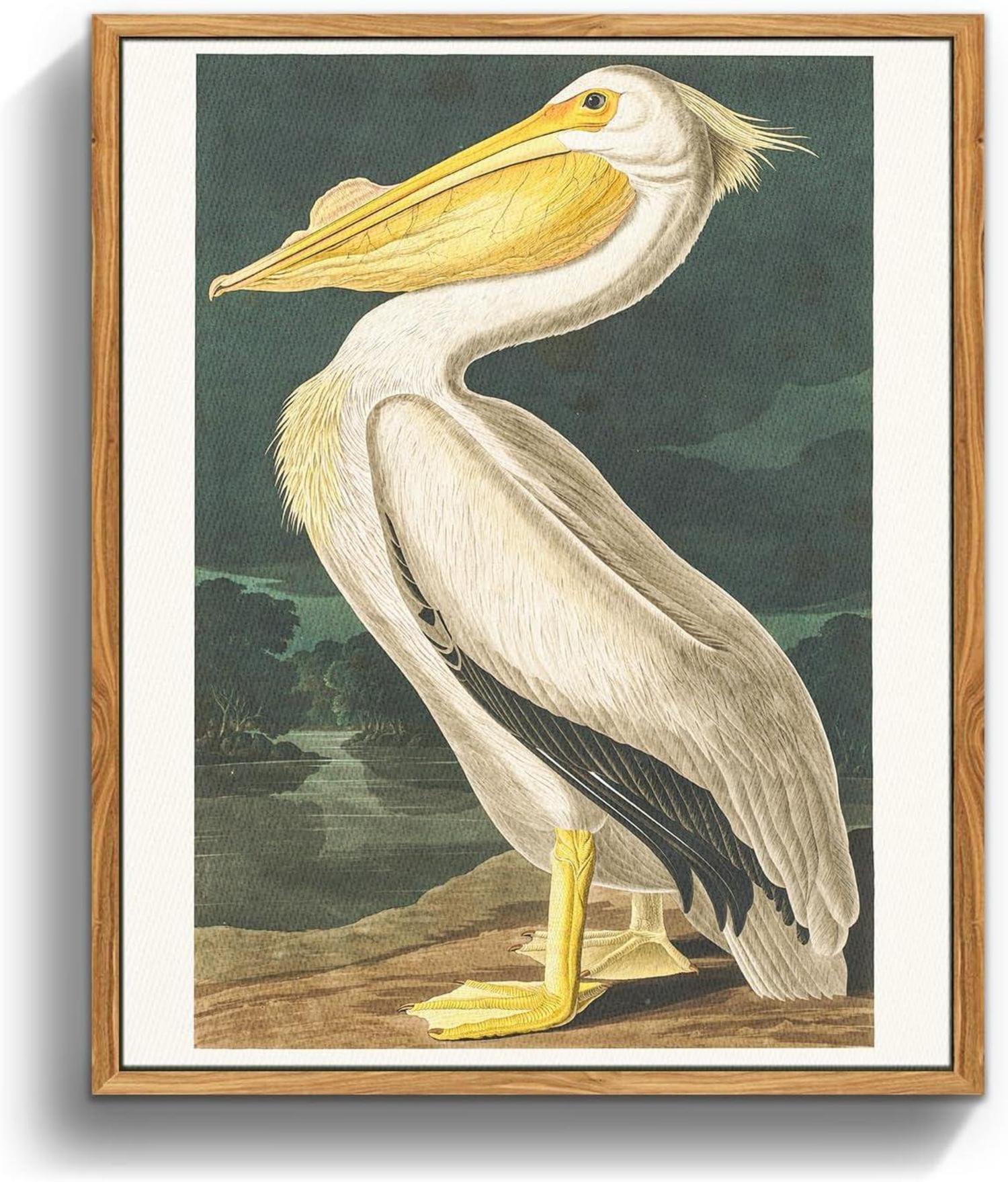 Vintage Vogel Leinwand Bild mit Holzrahmen 40x60 cm Pelikan Aesthetic