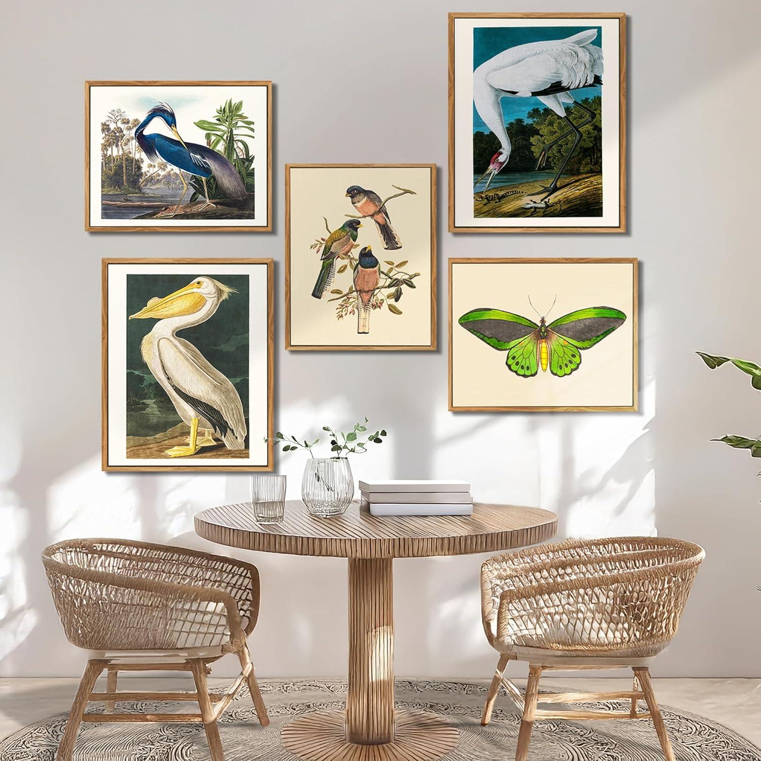 Vintage Vogel Leinwand Bild mit Holzrahmen 40x60 cm Pelikan Aesthetic