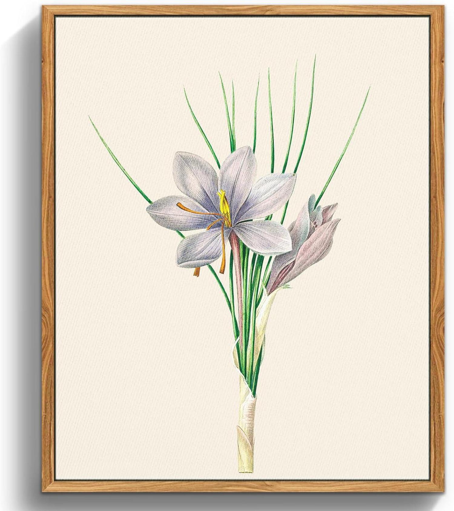 Vintage Botanische Leinwandbilder Holzrahmen 30x40cm Wohnzimmer