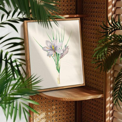 Vintage Botanische Leinwand Bilder mit Holzrahmen 30x40cm