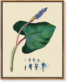 Vintage Botanische Leinwandbilder mit Holzrahmen 30x40cm Aesthetic