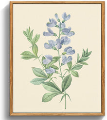 Botanische Leinwandbilder mit Holzrahmen - Vintage Blumenbild 30x40cm