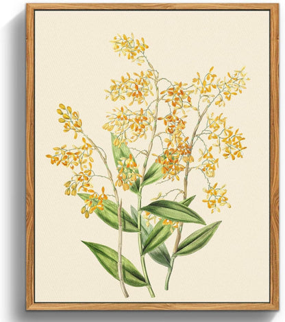 Vintage Botanisches Leinwandbild mit Holzrahmen 30x40cm Gelbe Orchidee