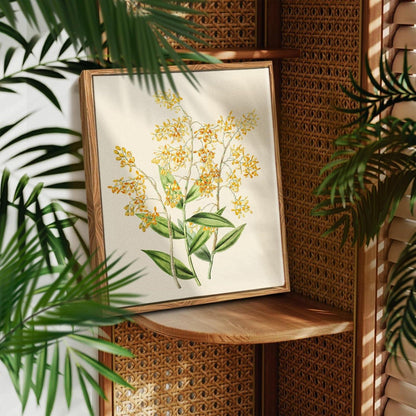 Vintage Botanische Leinwandbilder mit Holzrahmen 30x40cm