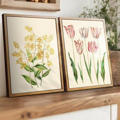 Vintage Botanisch Leinwand Bilder mit Holz Rahmen 30x40 cm Gelbe