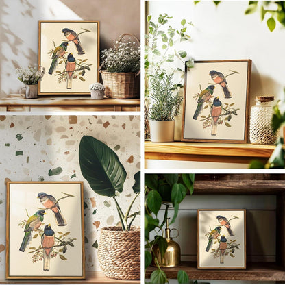 Vintage Vogel Leinwandbild mit Rahmen 30x40 cm Trogon Variegatus