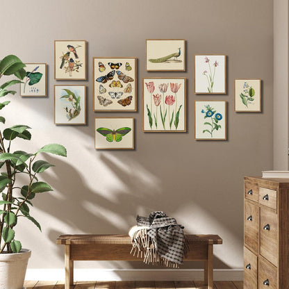 Vintage Vogel Leinwandbild mit Holzrahmen 30x40cm Trogon Variegatus Aesthetic