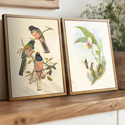 Vintage Trogon Vogel Leinwandbild mit Holzrahmen 30x40cm Wohnzimmer Wandkunst