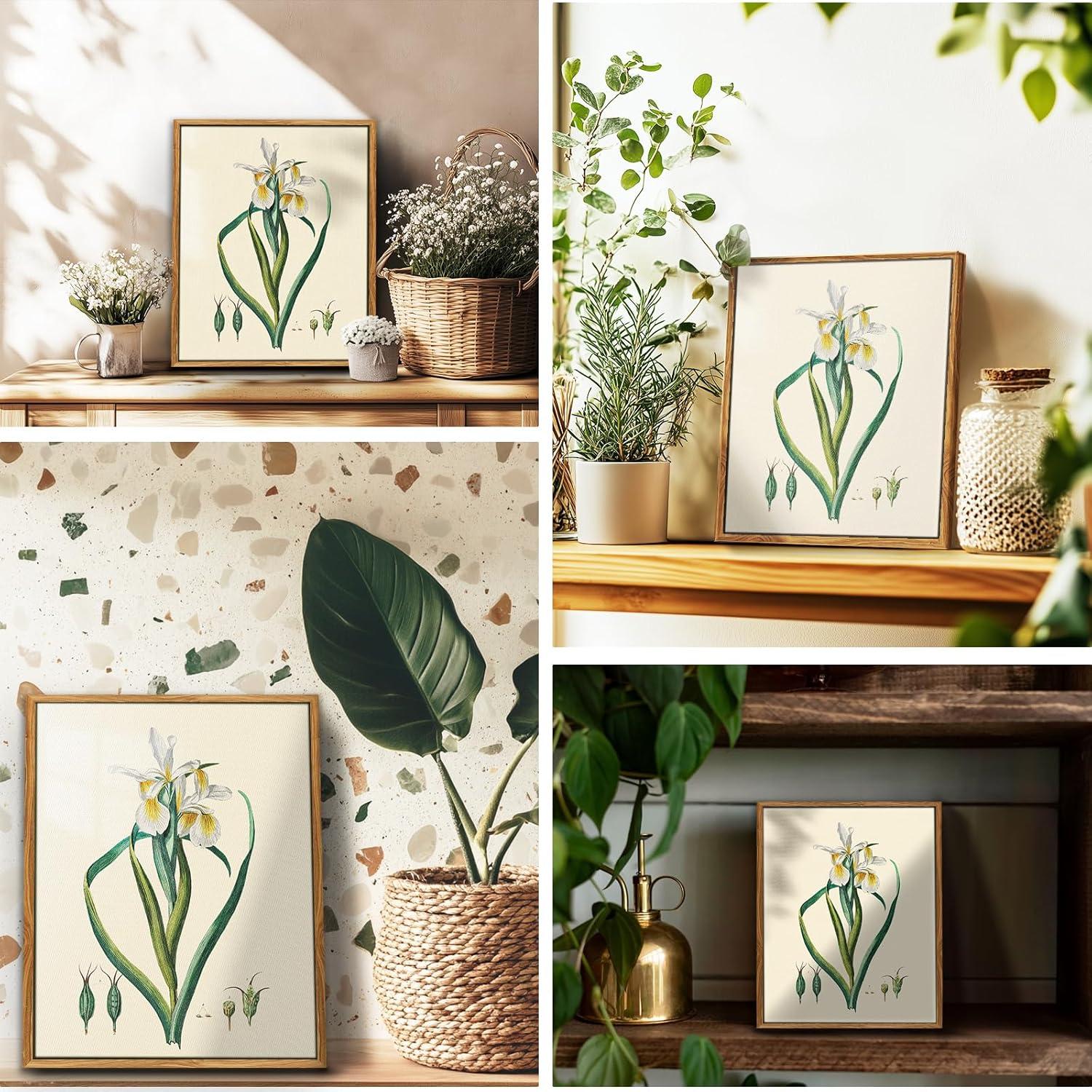 Vintage Botanische Leinwandbilder mit Holzrahmen 20x25 cm - Wohnzimmer
