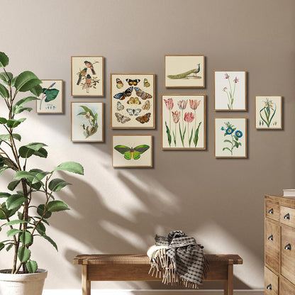 Leinwandbild Vintage Botanik Blumen Iris Flaggen 20x25cm Rahmen Holz