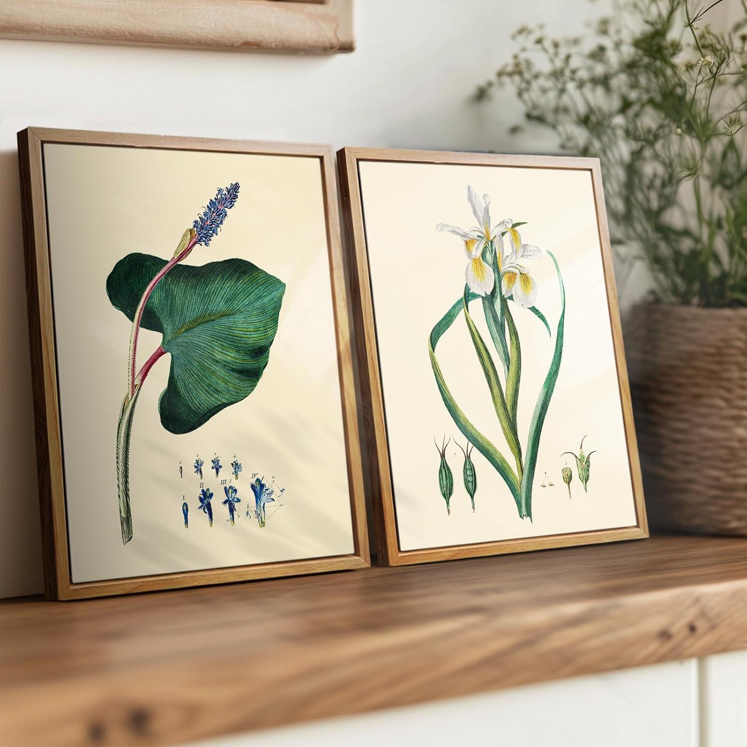 Leinwand Bilder Vintage Botanisch mit Holzrahmen, 20x25 cm Aesthetic