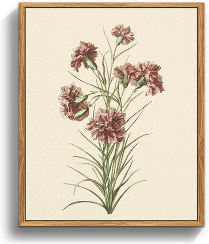 Vintage Botanische Leinwandbilder mit Holzrahmen 20x25cm - Aesthetic