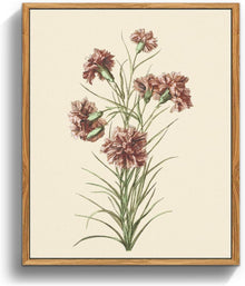Vintage Botanische Leinwandbilder mit Holzrahmen 20x25cm - Aesthetic