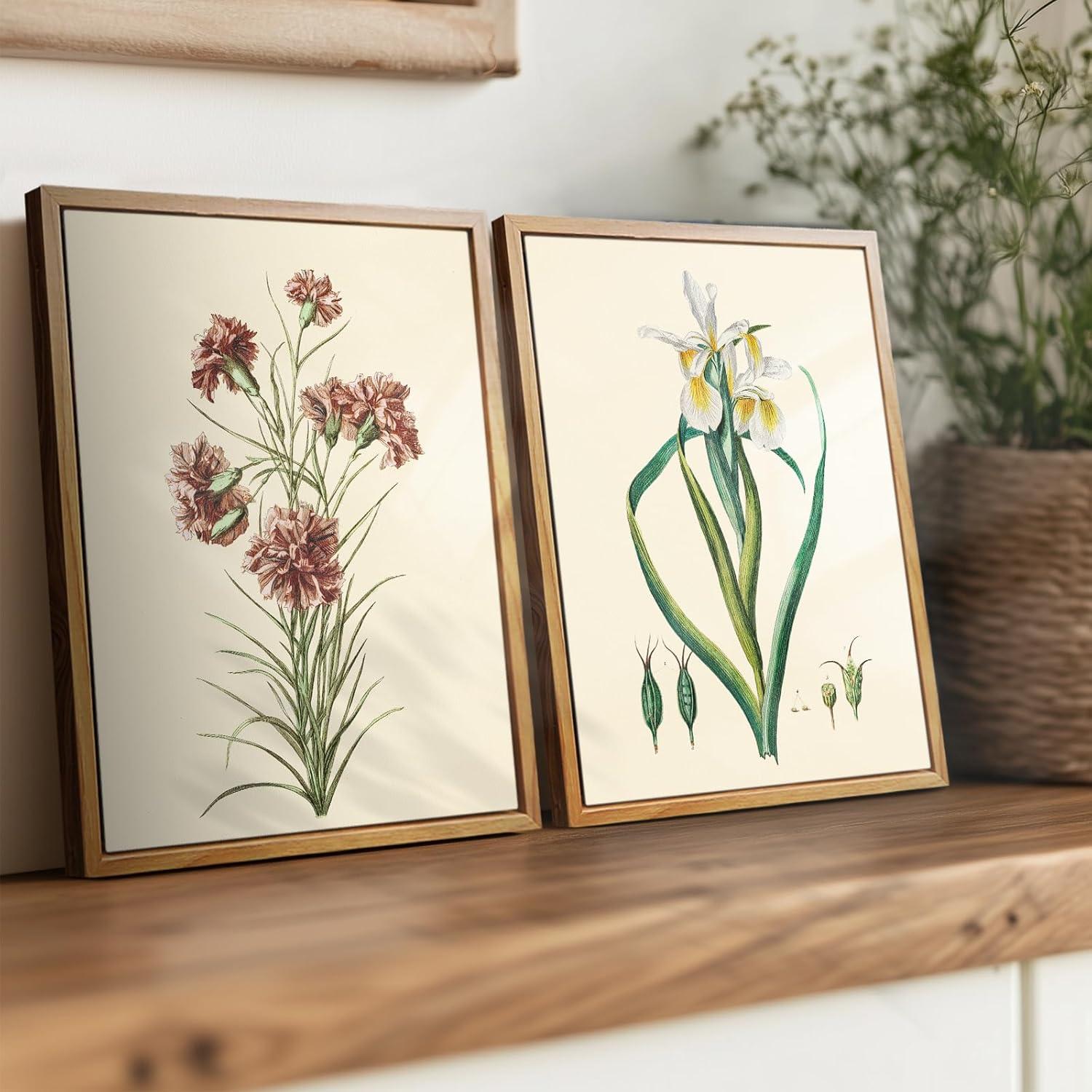 Leinwand Bilder mit Holzrahmen Botanisch Kräuter Aesthetic 20x25cm