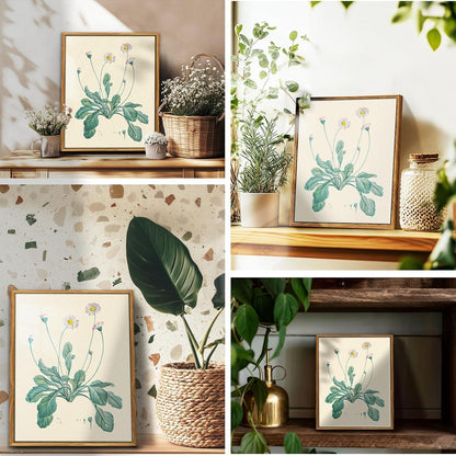 Botanische Leinwandbilder mit Holzrahmen - Vintage Gänseblümchen 20x25