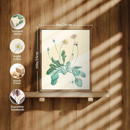 MHARTK66 Vintage Botanische Leinwand-Bilder mit Holzrahmen 20x25 cm - Gänseblümchen Aesthetic