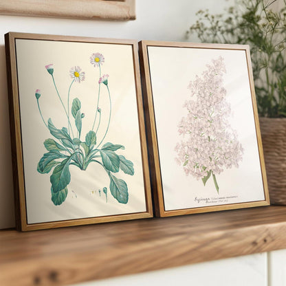 Vintage Botanische Leinwandbilder mit Holzrahmen 20x25 cm Aesthetic