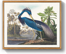 Vintage Vogel Leinwandbilder mit Rahmen 40x60 cm Wohnzimmer Büro