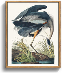 Vintage Vogel Leinwand Bilder mit Holzrahmen 30x40 cm Wohnzimmer