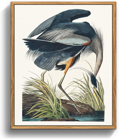 Vintage Vogel Leinwand Bilder mit Holzrahmen 30x40 cm Wohnzimmer