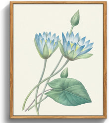 Leinwandbilder Blumen 30x40cm mit Rahmen Holz Wohnzimmer