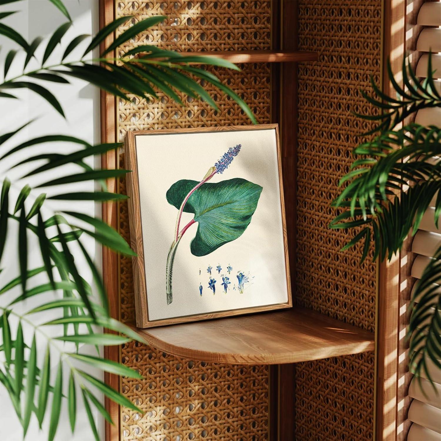 Botanische Vintage Leinwandbilder mit Holzrahmen 20x25cm