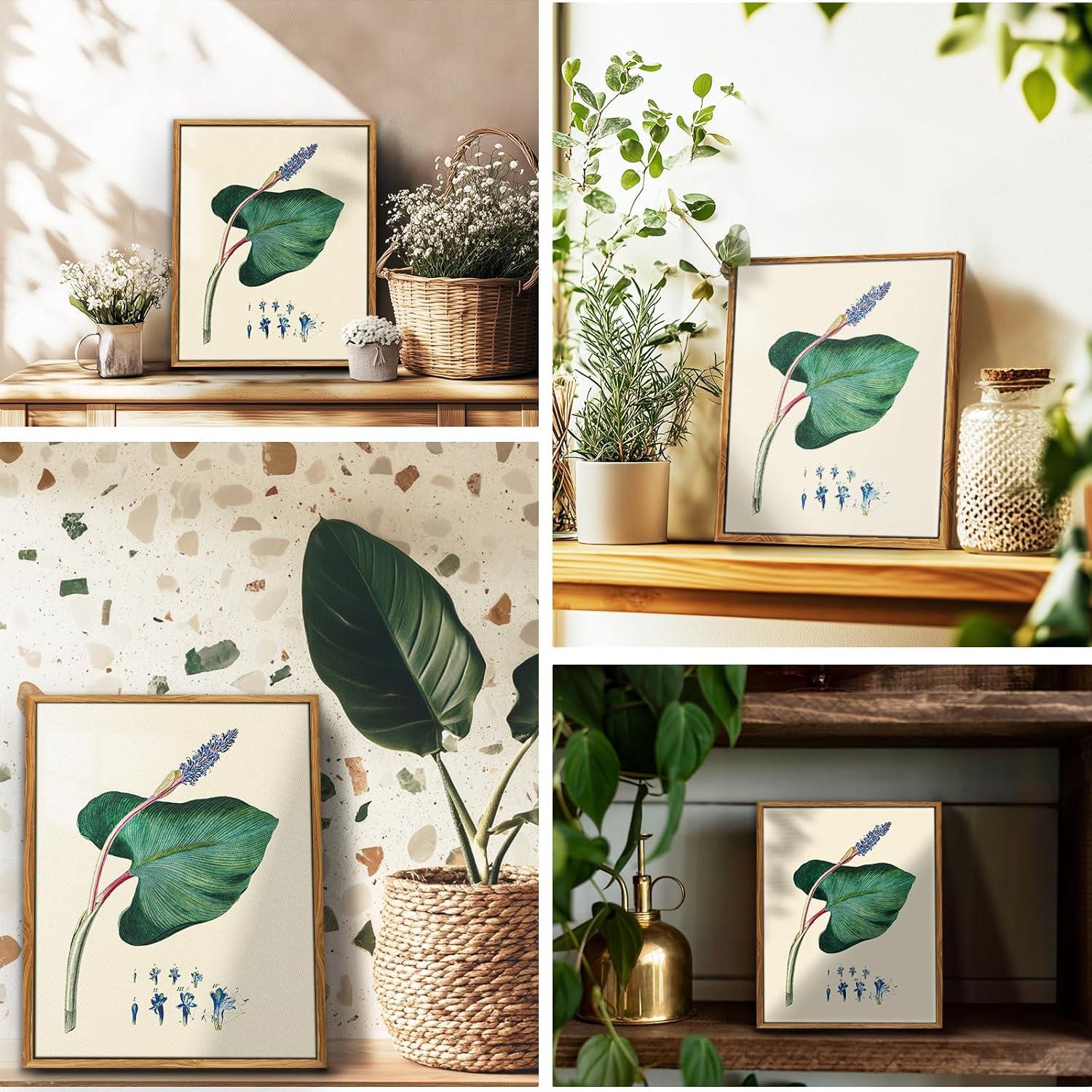 Leinwand Bilder Vintage Botanisch mit Rahmen 20x25 cm Wohnzimmer