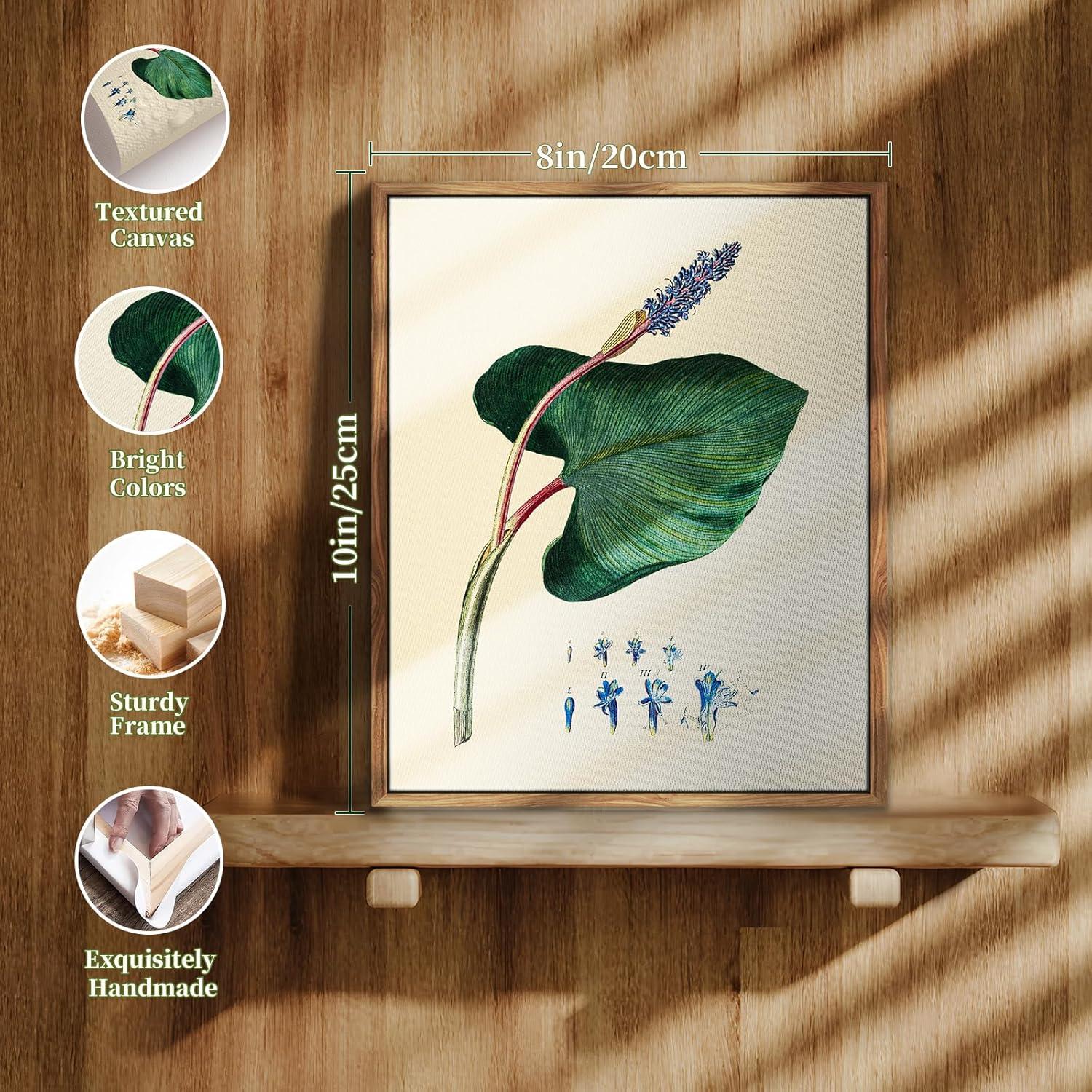 Vintage Botanische Leinwandbilder mit Holzrahmen 20x25cm Aesthetic Wohnzimmer Badezimmer Büro