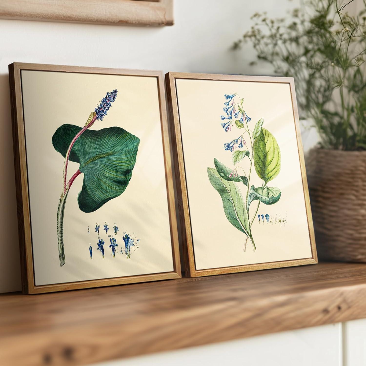 Vintage Botanische Leinwandbilder mit Holzrahmen, 20x25 cm